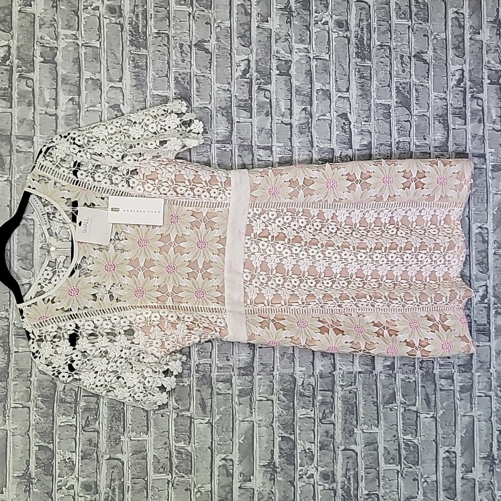 Endless Rose Pink and White Lace Mini Dress